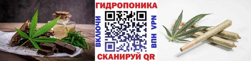 Canna-Cookies марихуана  как найти закладки  Сарапул 