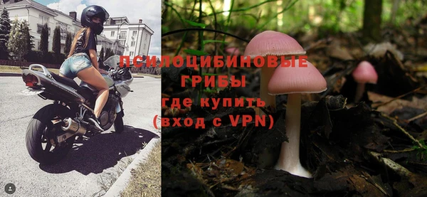 мяу мяу мука Алзамай