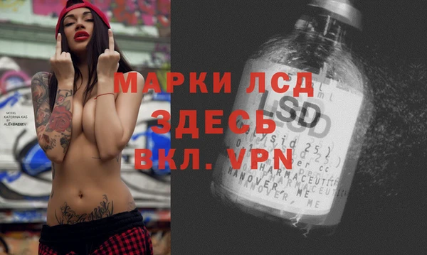 мяу мяу мука Алзамай