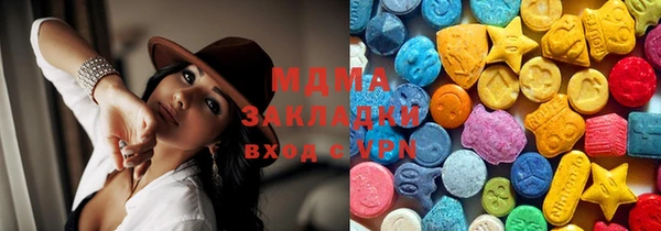 индика Ельня
