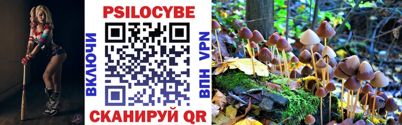 Псилоцибиновые грибы GOLDEN TEACHER  мориарти как зайти  Сарапул  OMG зеркало 